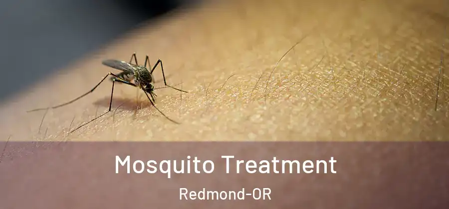 Mosquito Treatment Redmond-OR