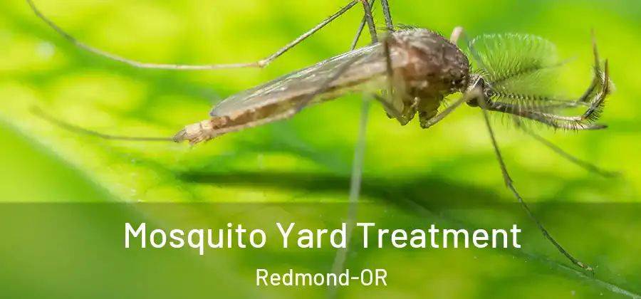 Mosquito Yard Treatment Redmond-OR
