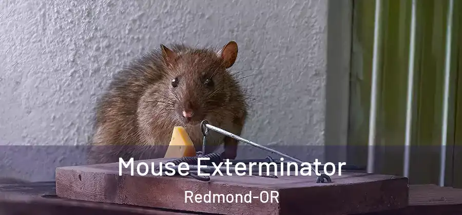 Mouse Exterminator Redmond-OR