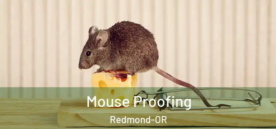 Mouse Proofing Redmond-OR