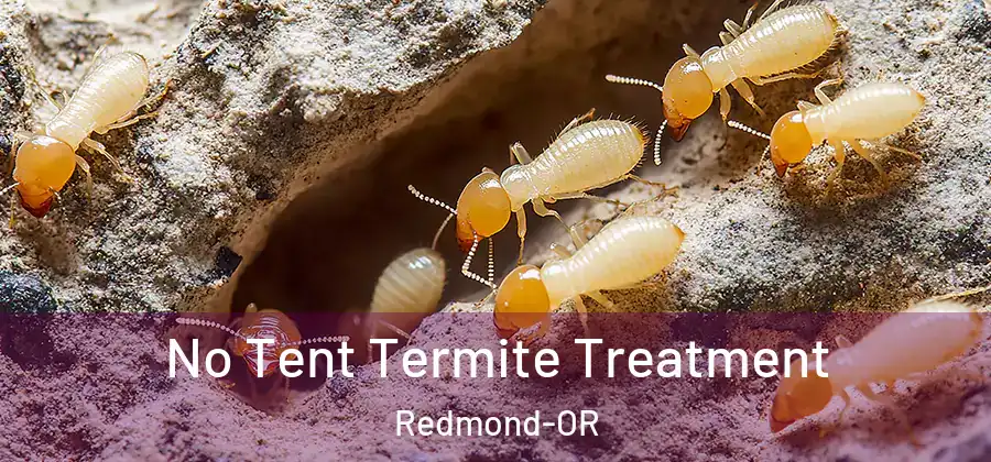 No Tent Termite Treatment Redmond-OR
