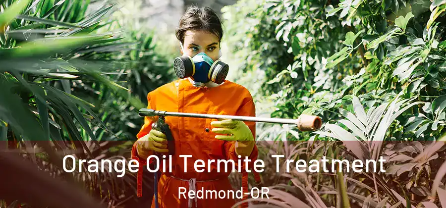 Orange Oil Termite Treatment Redmond-OR