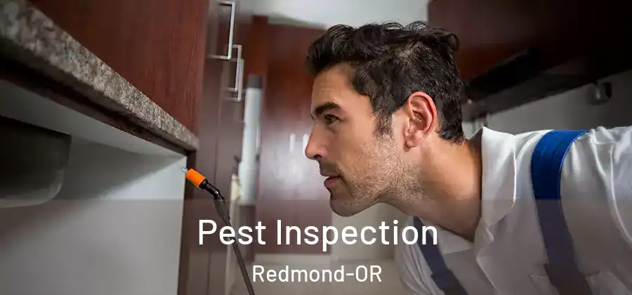 Pest Inspection Redmond-OR