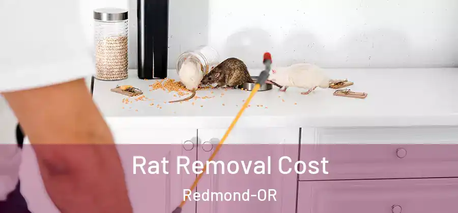 Rat Removal Cost Redmond-OR