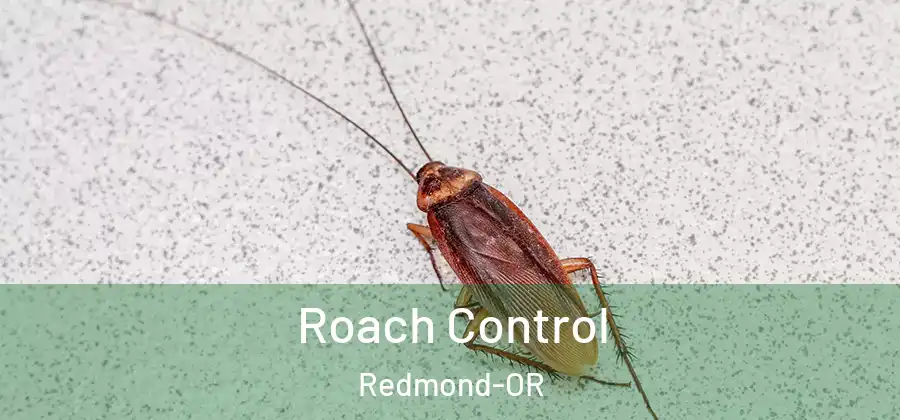 Roach Control Redmond-OR