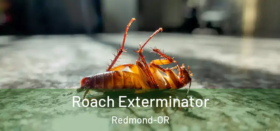 Roach Exterminator Redmond-OR