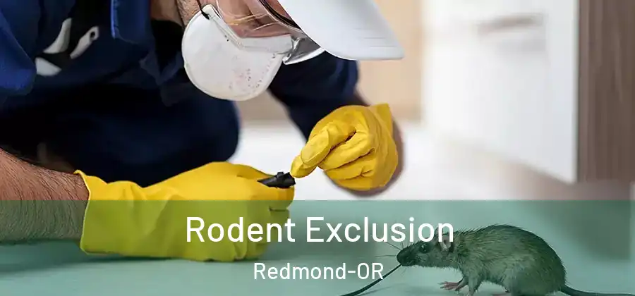  Rodent Exclusion Redmond-OR