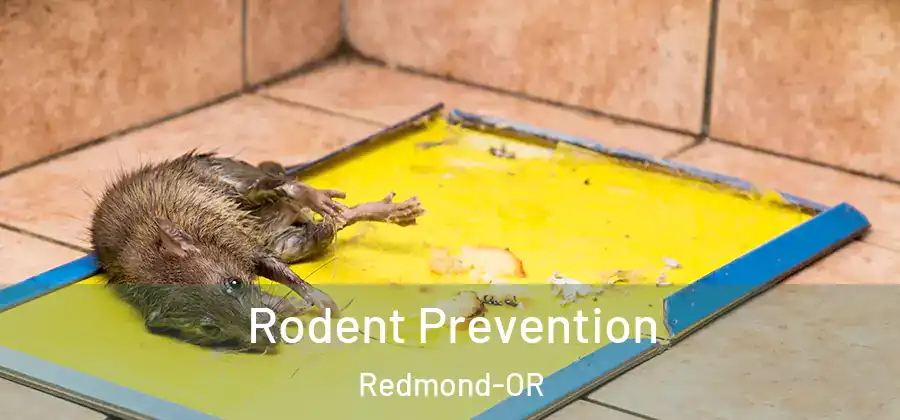 Rodent Prevention Redmond-OR