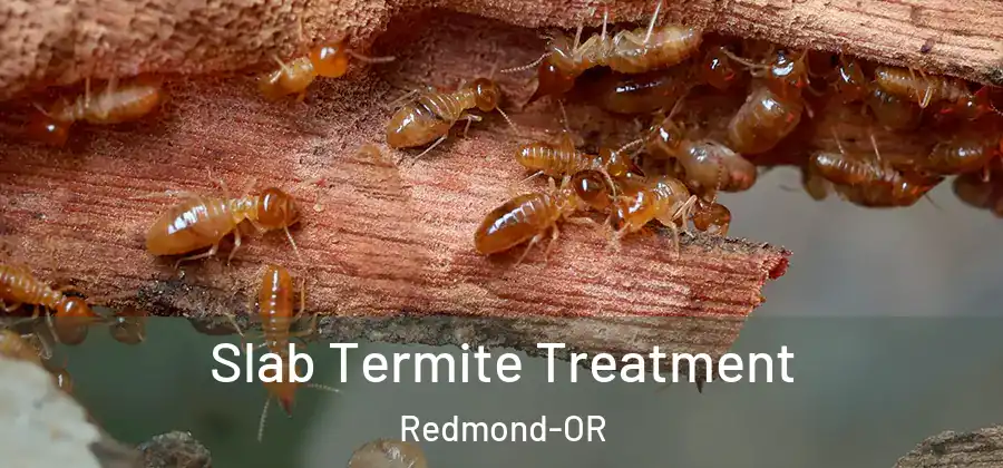 Slab Termite Treatment Redmond-OR
