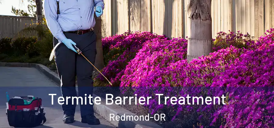 Termite Barrier Treatment Redmond-OR
