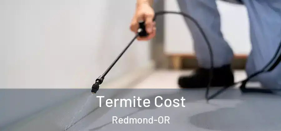 Termite Cost Redmond-OR